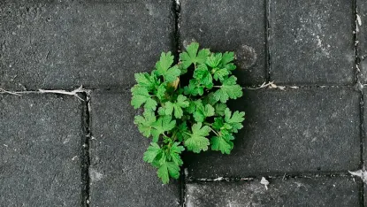 Casino Deposit Win Farsímaforrit